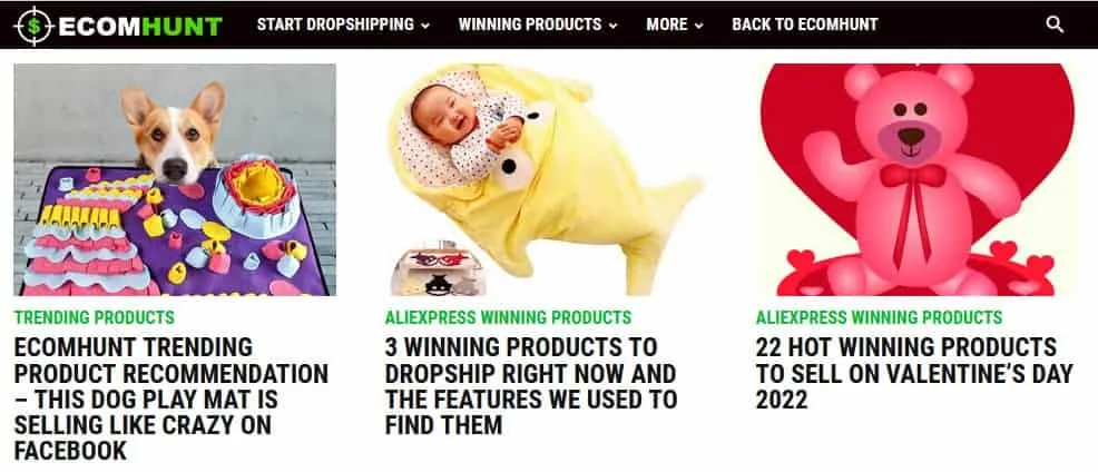 مراجعة Ecomhunt 2026 | البحث عن المنتجات الفائزة؟ (كوبونات Ecomhunt والرموز الترويجية) 14 مدونات Ecomhunt للتعلم