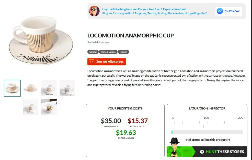 مراجعة Ecomhunt 2026 | البحث عن المنتجات الفائزة؟ (كوبونات Ecomhunt والرموز الترويجية) 7 مفتش التشبع