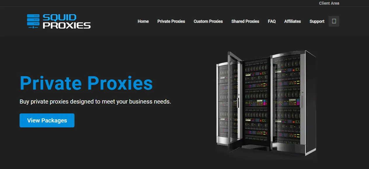 12 Best Russian Proxies in 2026 ➣ Appear Russian Online 🕵️♂️ 11 Squid Proxies