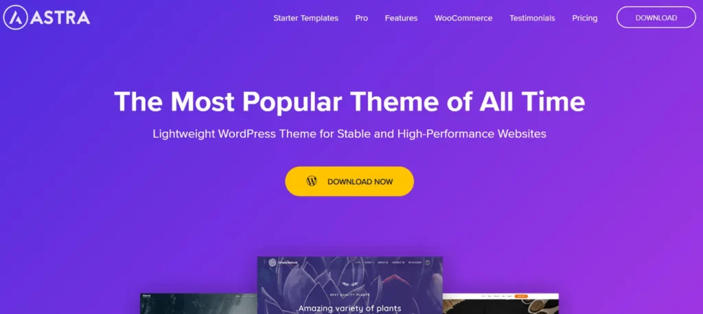 Top 9 WordPress Themes for NSFW Websites in 2026 7 Astra