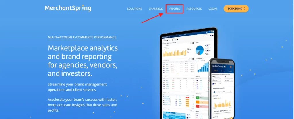 MerchantSpring Pricing: Get 20% Off E-commerce Analytics 7 MerchantSpring Plans
