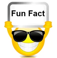 Proxy302 Review: The Truth About Its Speed and Reliability 4 Fun Fact