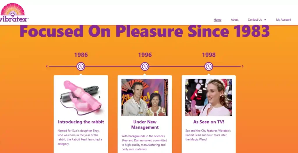 Top 9 WordPress Themes for NSFW Websites in 2026 10 Vibratex