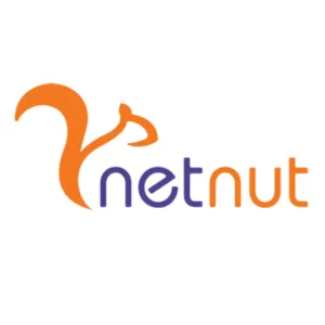 15 Best Instagram Proxies 2026 3 NetNut Logo