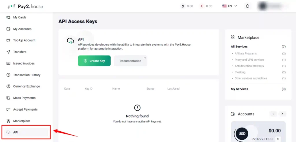 Pay2.House Review: Het virtuele kaartplatform dat 2026 verplettert? 8 API voor handelaars