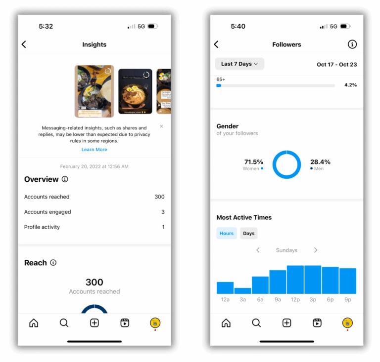 Complete Instagram Reels Guide for AI Model Traffic Generation 2026 9 Instagram Insights and Followers Page