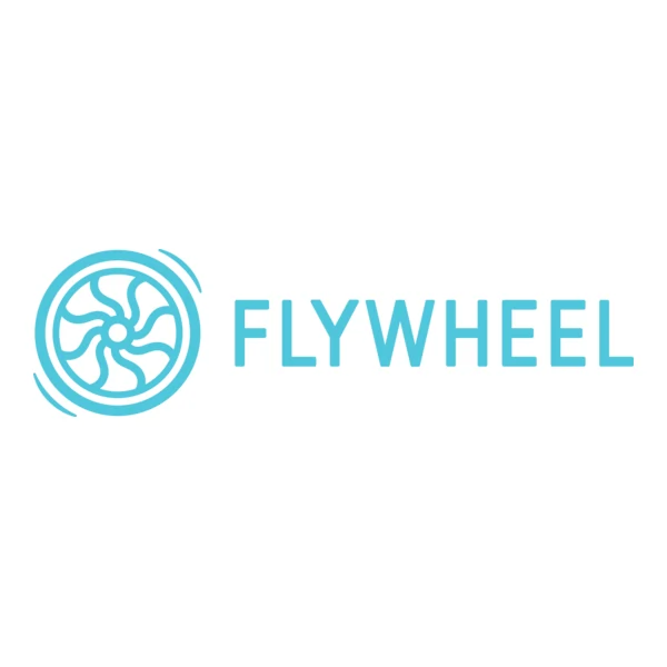 20 Best Black Friday Software Deals for Marketers (2025) 25 Flywheel Logo
