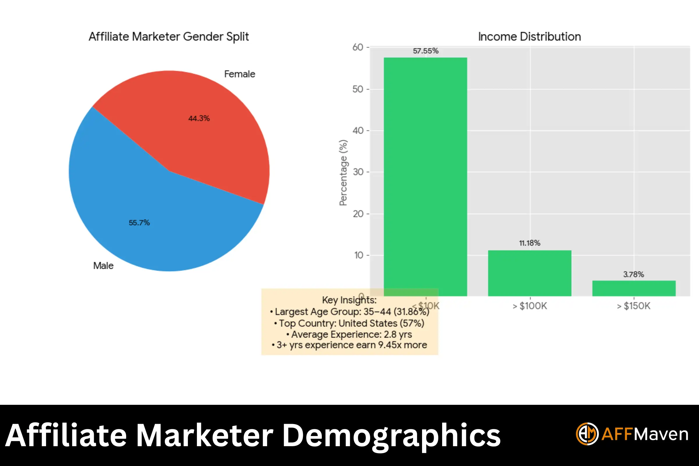 Affiliate Demografische gegevens van marketeers