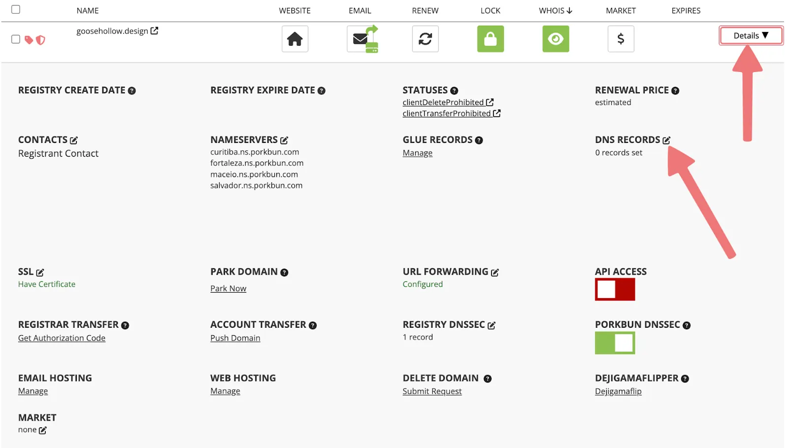 Porkbun Vs. Namecheap 2026: One Is Ripping You Off on Renewals! 7 Porkbun DNS Management